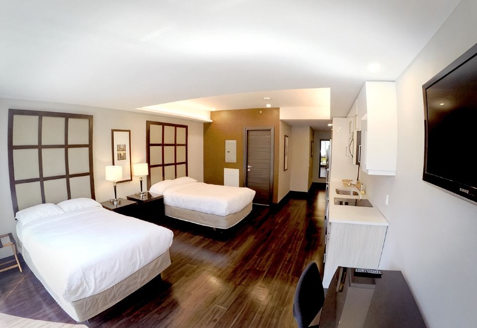 M Montreal Hostel